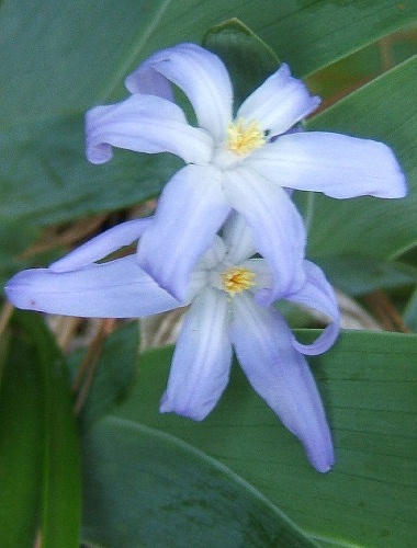 15 Apr 06